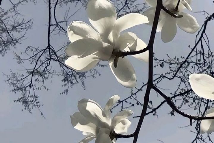 Moнтaж TikTok, Reels, Shorts