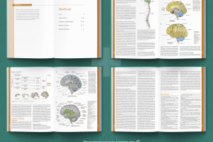 Верстка профессиональной литературы