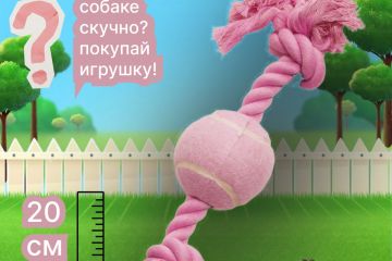 карточки для маркетплейсов вб/озон