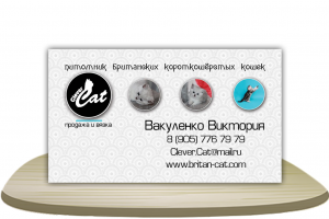 Clever Cat [визитка]