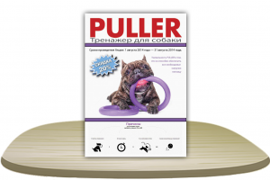 Листовка - Акция