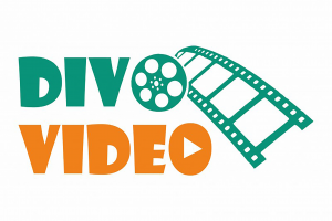 Разработка логотипа для видеооператора