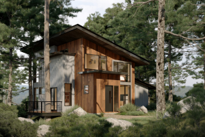 Дизайн визуализация проекта жилого дома в лесу