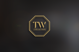 Разработка дизайна логотипа для компании