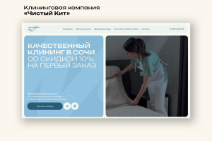 Сервис по предоставлению профессионального клининга любых типов помещений