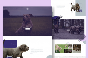 Разработка дизайна многостраничного сайта