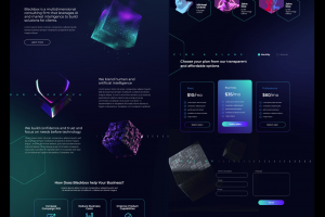 Разработка дизайна многостраничного сайта