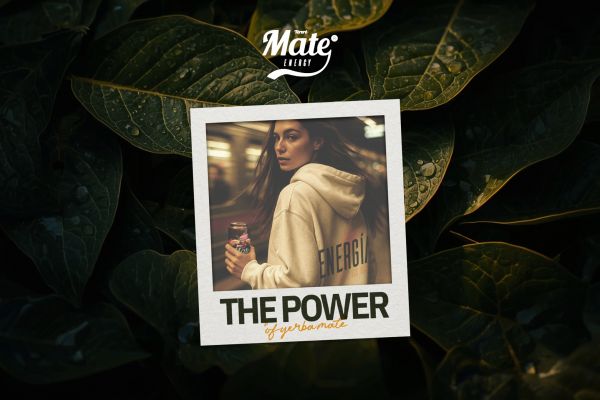 Terere Mate Energy . Разработка бренда напитка на основе мате.