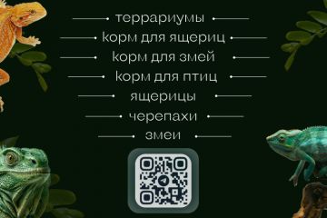 Оформление визиток