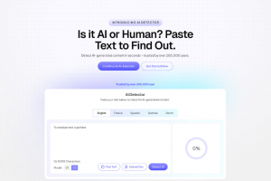 Разработка дизайна сайта
