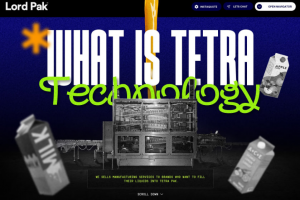 Разработка дизайна лендинга