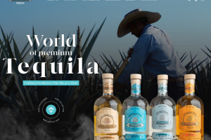 Разработка дизайна сайта