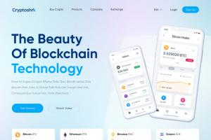 Разработка дизайна сайта для крипто-проекта