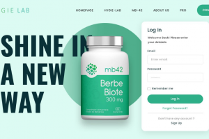 Разработка дизайна сайта