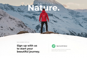 Разработка дизайна сайта