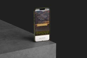 NOA Wine | Интернет-магазин армянских вин