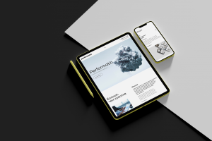 Performatic | Корпоративный сайт digital-агентства