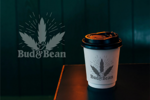 Разработка дизайна логотипа