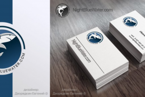 Лого NBW nightbluewater