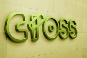 Разработка логотипа и фирменного стиля для маркетплейса Cross.