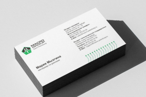 Создание фирменного стиля для MacroGroup