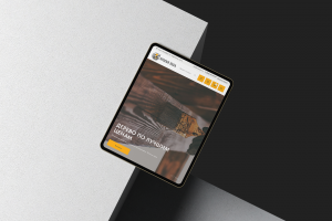 Краски Леса | Интернет-магазин отделочных материалов из дерева