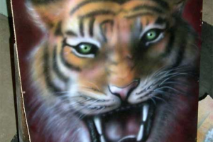 Тигр // аэрография