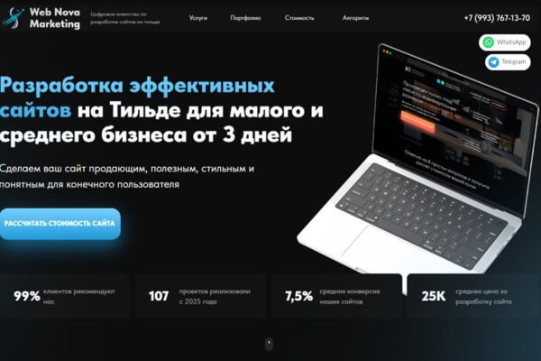 Разработка и запуск сайта для агентства Web Nova Marketing, специализирующегося на создании сайтов и настройке рекламы.