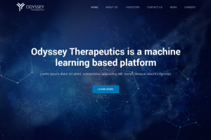 Разработка дизайна сайта