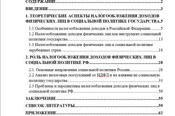 Выпускная квалификационная работа