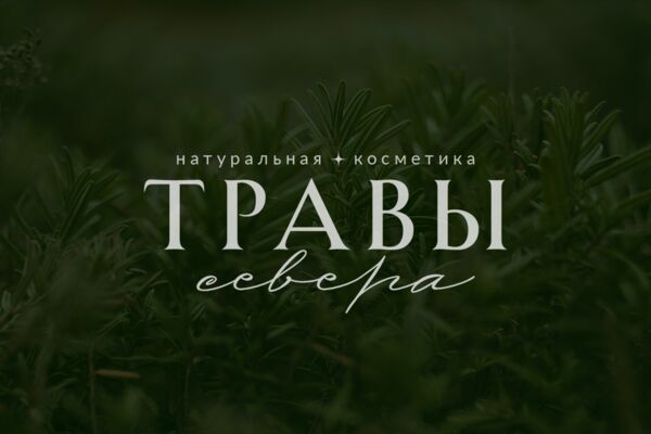 травы севера.png