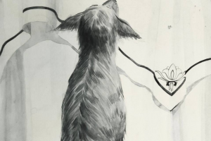 Иллюстрации к произведению собачье сердце