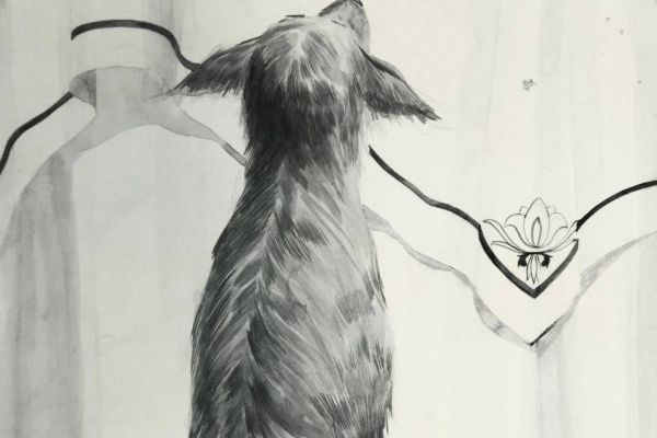 Иллюстрации к произведению собачье сердце