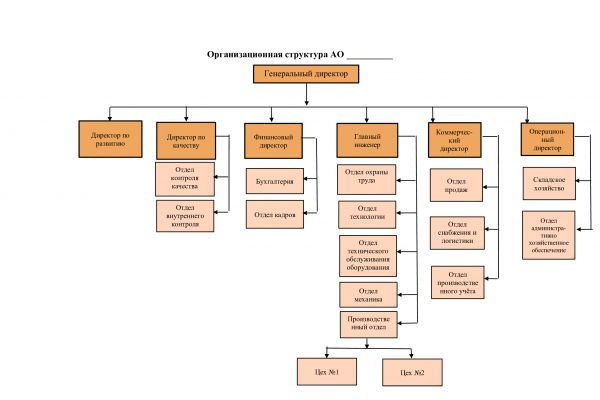 Разработать положения о подразделениях и должностные инструкции  руководителей, специалистов и рабочих в соответствии с организационной структурой организации.