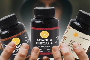 Создание бота и онлайн-магазина в телеграм