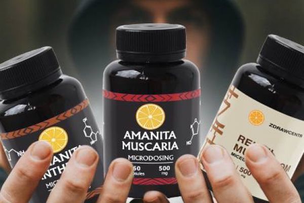 Создание бота и онлайн-магазина в телеграм