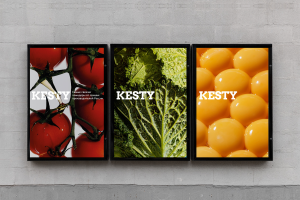 ИНФОГРАФИКА КЕСТИ