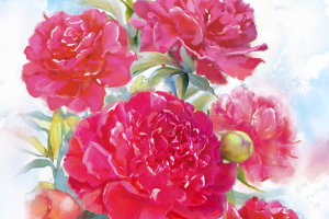 картмаксимум