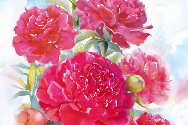 картмаксимум