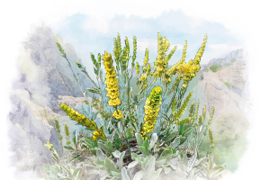 Иллюстрация для конверта