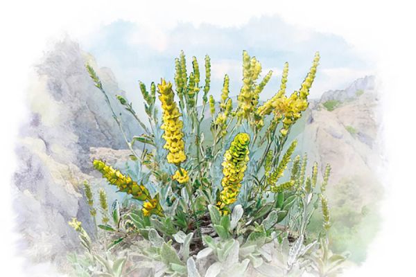 Иллюстрация для конверта