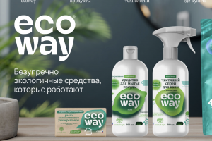 Дизайн печатной продукции