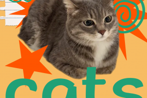 плакат для школьных занятий