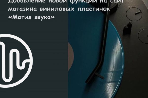 Добавление новой функции на сайт магазина виниловых пластинок «Магия звука»