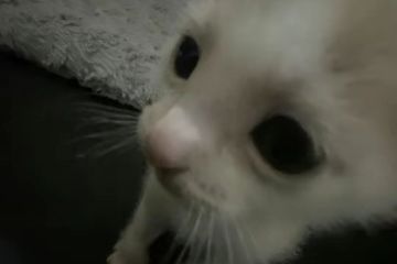 СДЕЛАЮ ДИЗАЙН ДЛЯ ВАШЕГО ТОВАРА