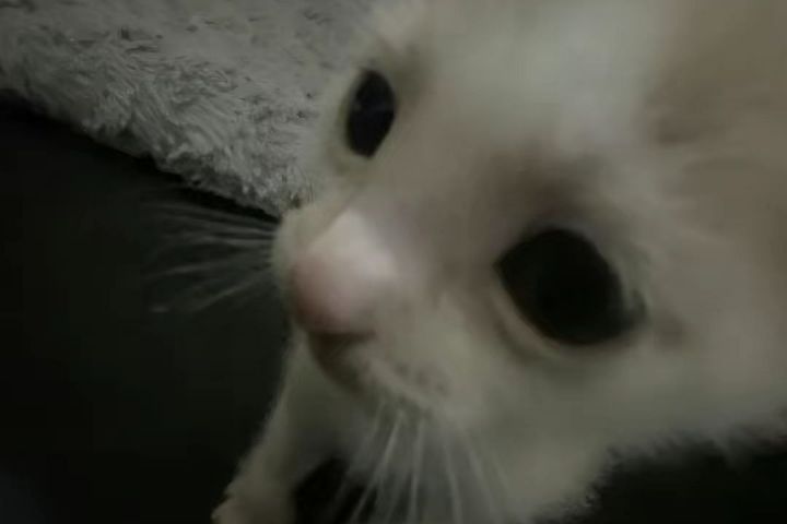 СДЕЛАЮ ДИЗАЙН ДЛЯ ВАШЕГО ТОВАРА - 5572365