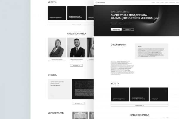 Дизайн страниц сайта для московской консалтинговой компании в сфере фармацевтики Sipe Consulting