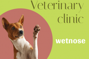 Корпоративный сайт для ветклиники wetnose