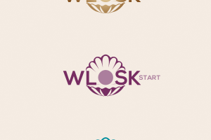 конкурсная работа логотип "VLOSK"