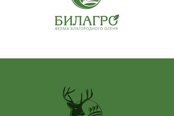 билагро 1.jpg